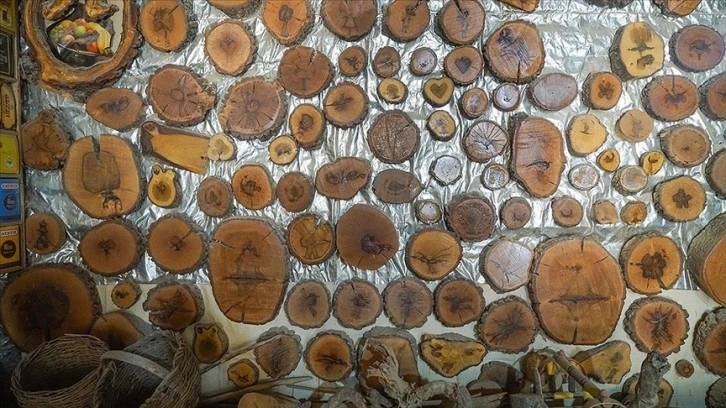 Marangoz zarfında değişik şekiller mevcut ağaçlardan derlem oluşturdu