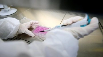 Japon bilgelik kullanıcılarını yaşlılıkla türeyen 'zombi hücrelere' hakkında aşı üretti